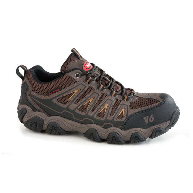 Imagen de Zapato de seguridad  V-Flex V6